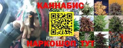 стафф Мариинск