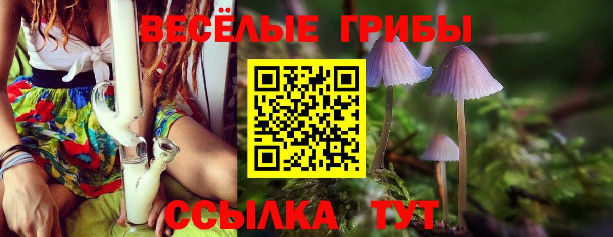 Холмск  Галлюциногенные грибы MAGIC MUSHROOMS  Вход с VPN 